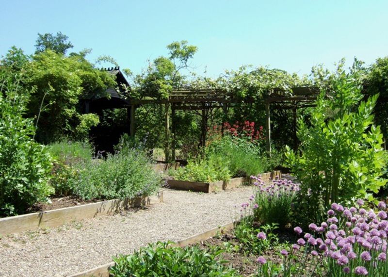 Scented Herbs Help Distract From Mosquitoes