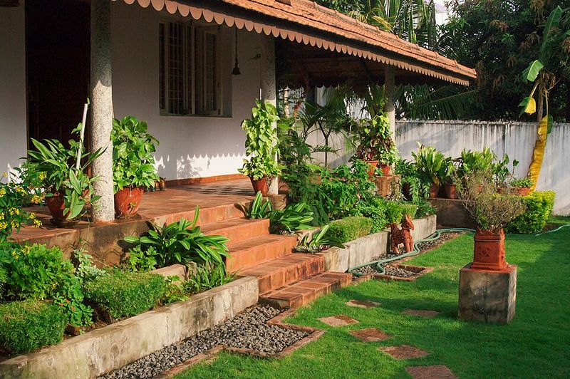 Check irrigation and watering habits