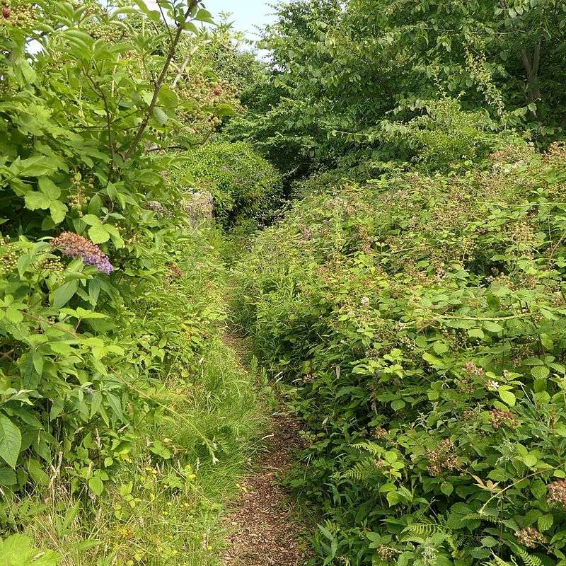 Weeds Reveal An Imbalance