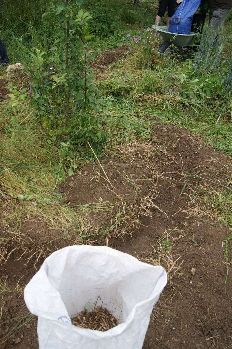Rebuilding Mulch for Moisture Control