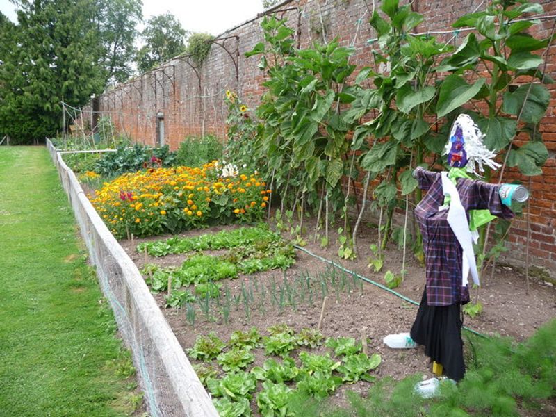 Plants Handle Heat Stress More Smoothly
