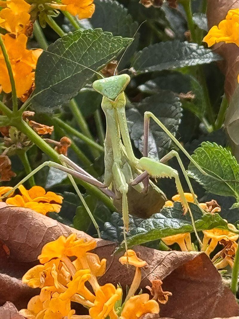 Seasonal Change Is Coming