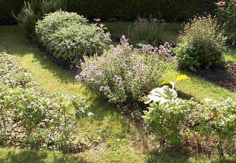 Strong Scents Can Discourage Browsing Pests