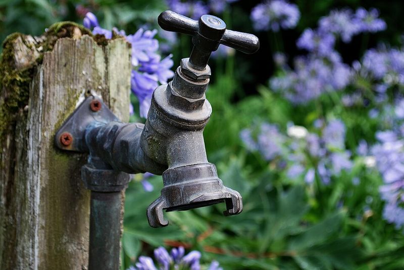 Watering Too Shallowly