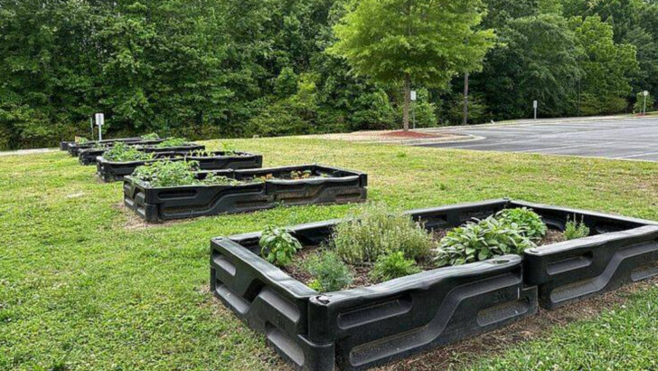 The Biggest Watering Mistakes Pennsylvania Gardeners Make As Temperatures Rise