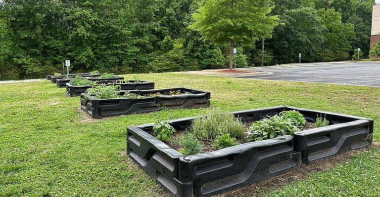The Biggest Watering Mistakes Pennsylvania Gardeners Make As Temperatures Rise