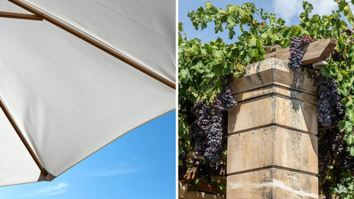 The Easy Shade Solutions North Carolina Gardeners Use Around Patios
