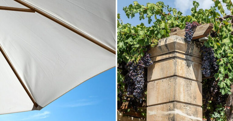 The Easy Shade Solutions North Carolina Gardeners Use Around Patios