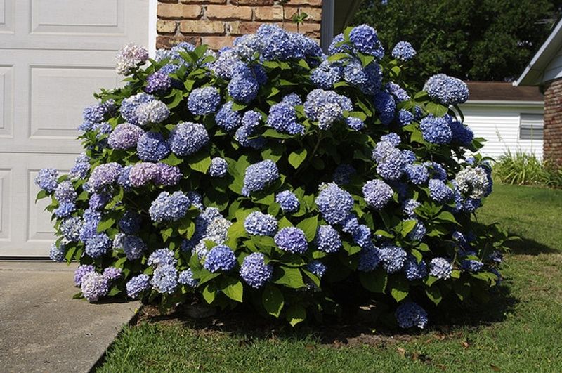 Layered Container Clusters