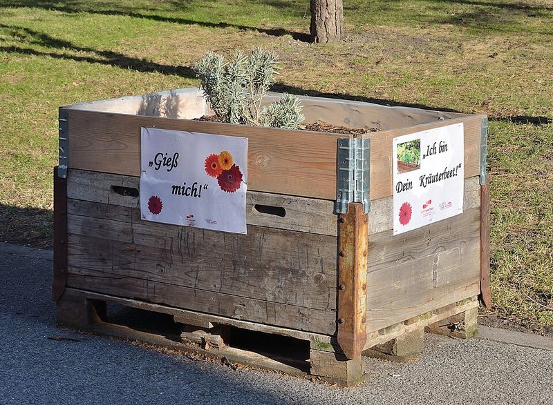 Why Raised Beds Fit North Carolina Life