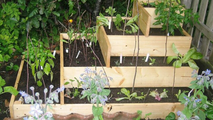 The Raised Bed Gardening Trend Spreading Across North Carolina Neighborhoods