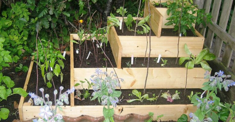 The Raised Bed Gardening Trend Spreading Across North Carolina Neighborhoods