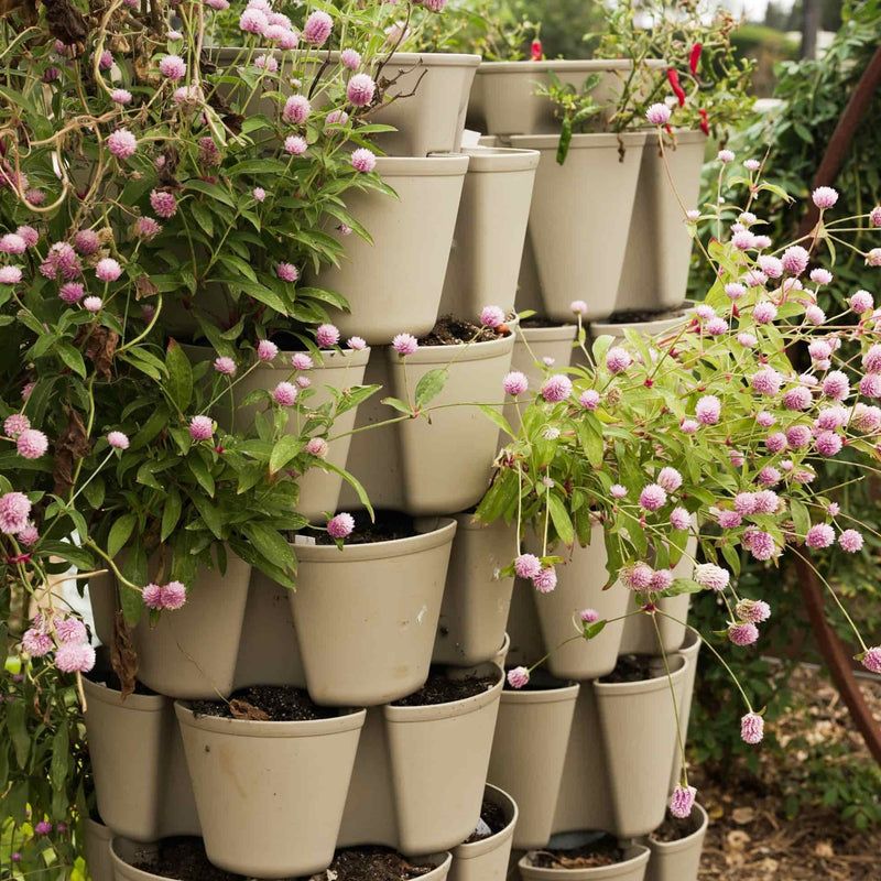 They Let You Grow More Variety In A Small Space