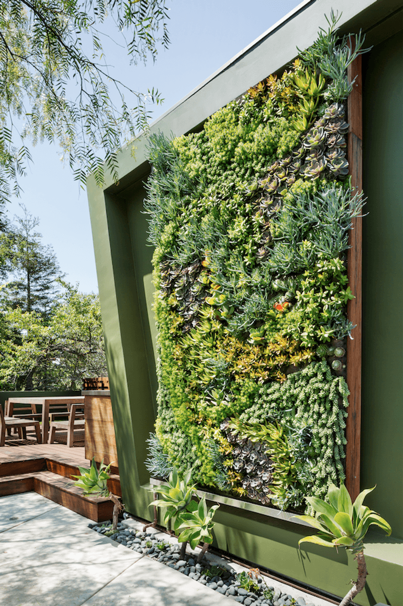 They Double As Attractive Privacy Screens
