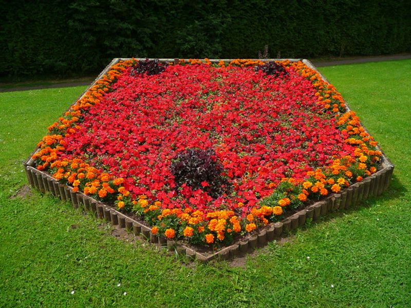 Succession Planting in Narrow Beds