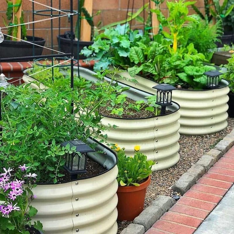 Containers And Raised Beds Dry Out First