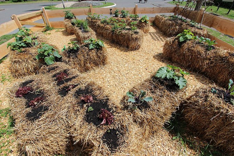 Skipping mulch in extreme heat