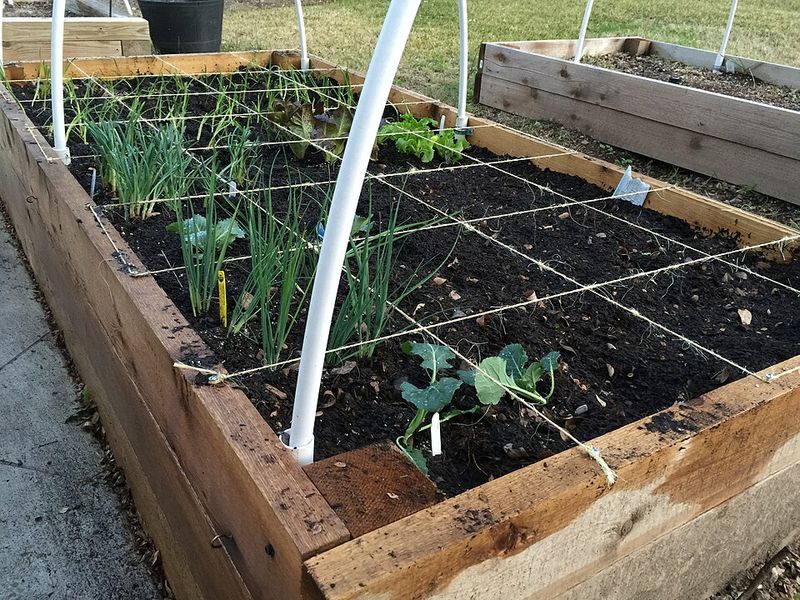 Using the Same Schedule for Containers and Beds