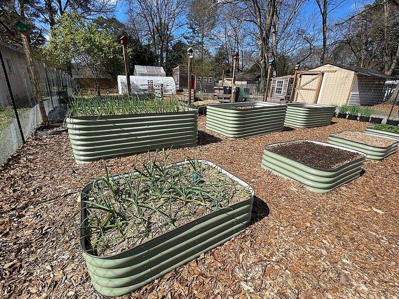 Small-Space Layouts That Make Sense