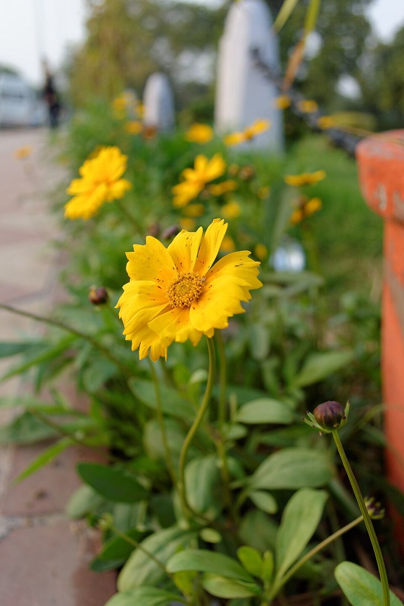 Watering and Feeding the Smart Way