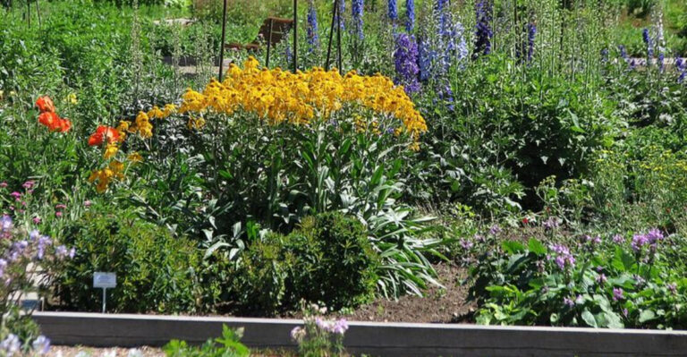 Why Florida Gardeners Are Dividing Spring Perennials Before Summer Arrives