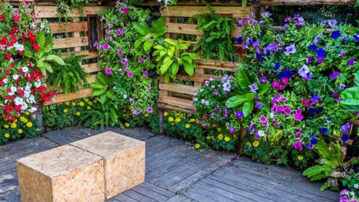 Why Florida Gardeners Are Using More Vertical Planters On Small Patios