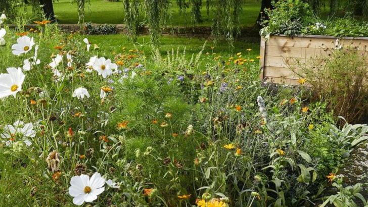 Why Massachusetts Gardeners Are Pairing Herbs And Flowers Around Patios
