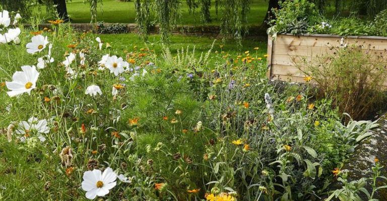 Why Massachusetts Gardeners Are Pairing Herbs And Flowers Around Patios