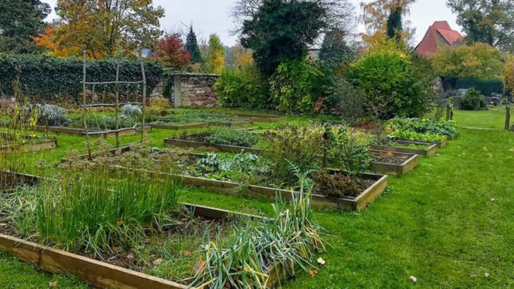 Why Massachusetts Gardeners Are Watering Earlier In The Morning As Summer Nears