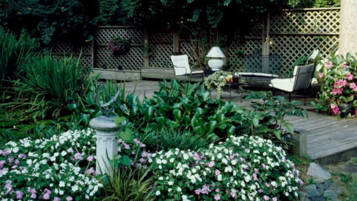 Why North Carolina Homeowners Are Turning Old Patios Into Garden Spaces