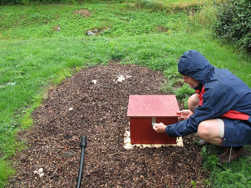 Mulch Breaks Down Too Slowly