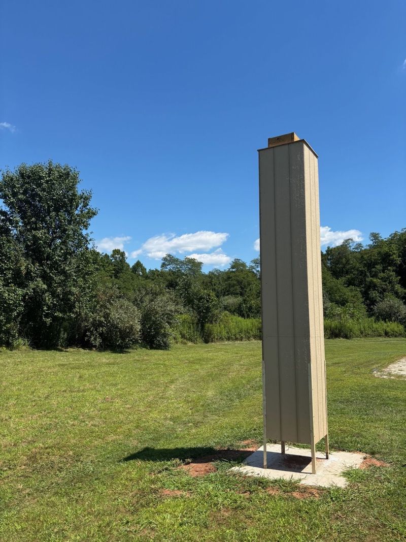 Swift Towers Build Habitat, Not Mosquito Patrols