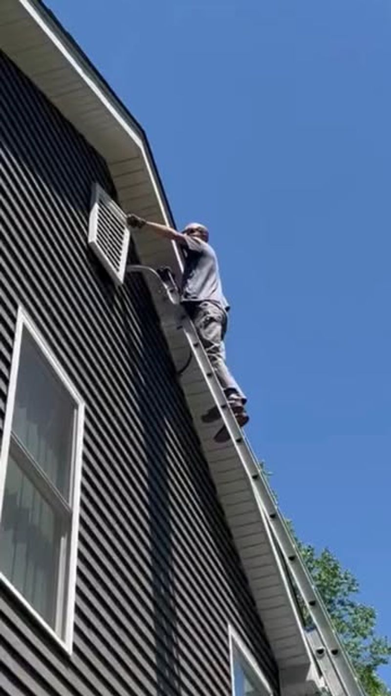Protect bats while managing homes and outdoor spaces