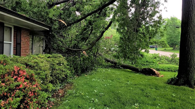 Keep the Promise—and the Risks—in View