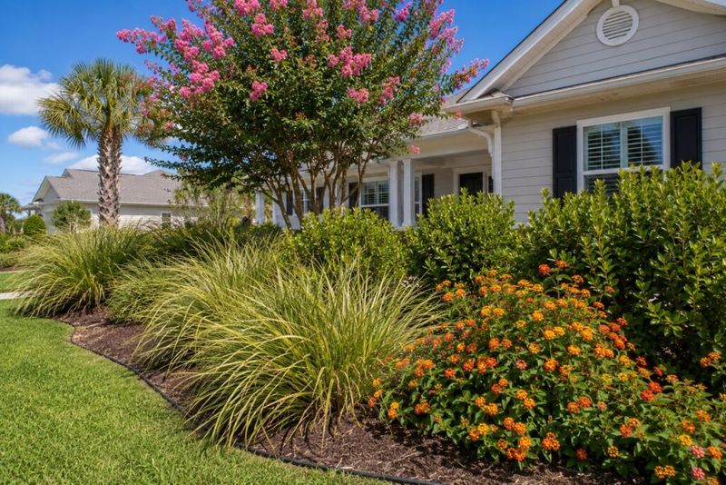 Use Lantana as a Fit-for-Place Choice