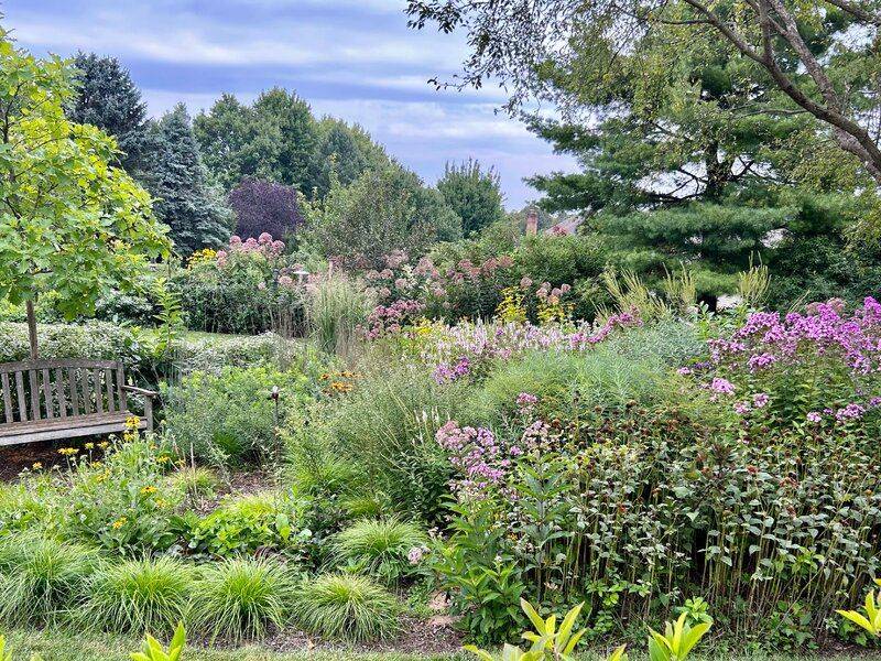 Build A Managed Edge, Not A Wild Thicket
