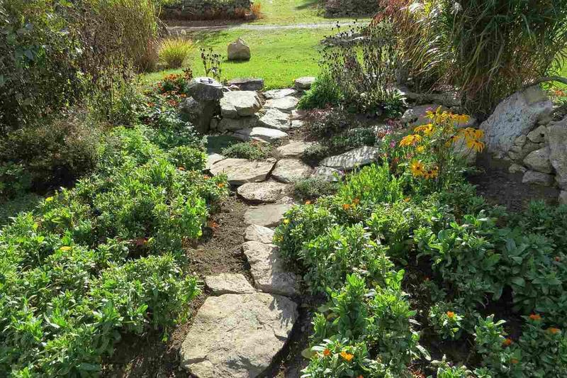 Design Around The Plant’s Limits And Wildlife Value