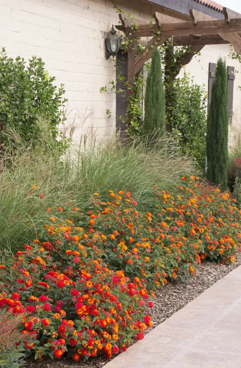 Choose Sun and Drainage Before You Choose Color