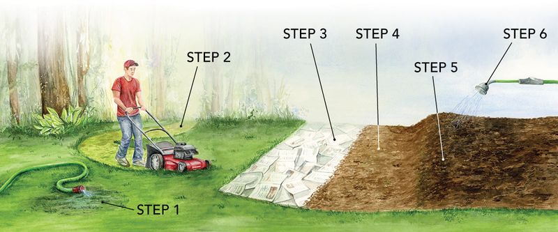 Remove Grass Without Leaving Soil Vulnerable