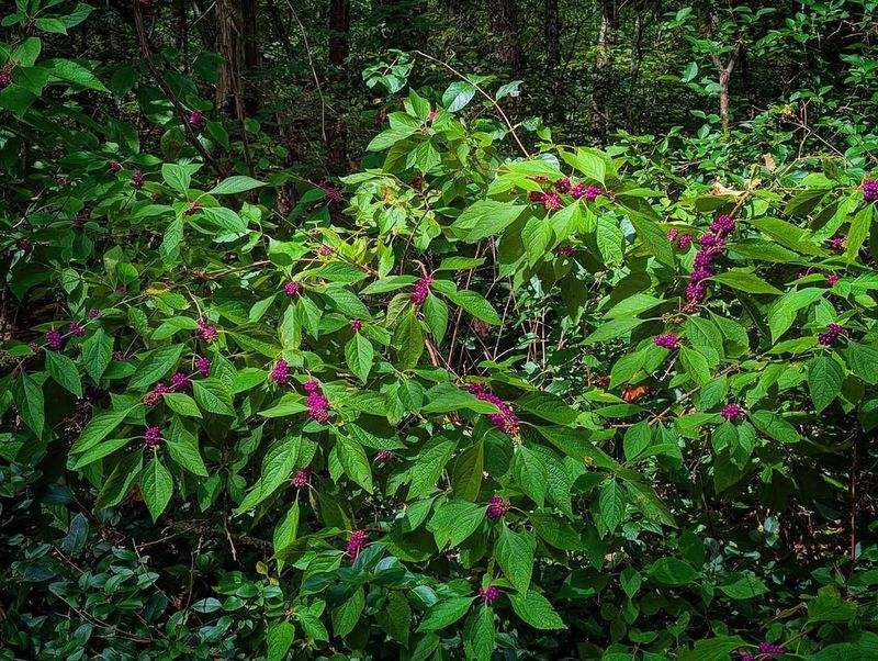 Keep wildlife habitat separate from high-use household space