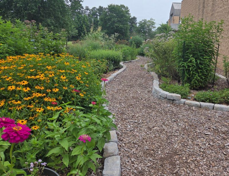 Separate Wildlife Beds from Family-Use Areas