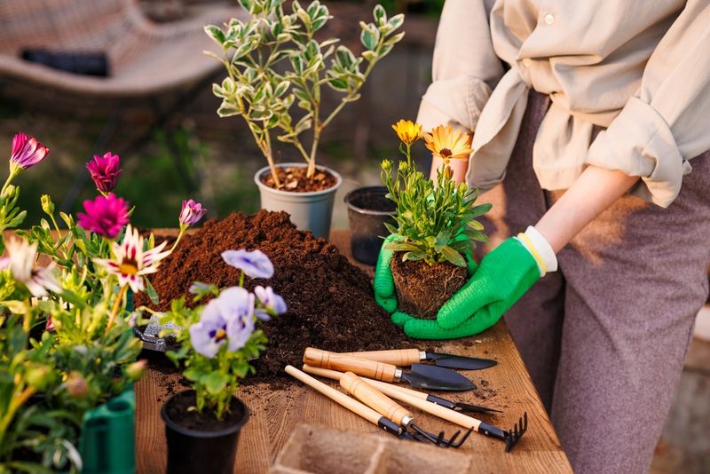 Let Gardening Support Care, Not Replace It