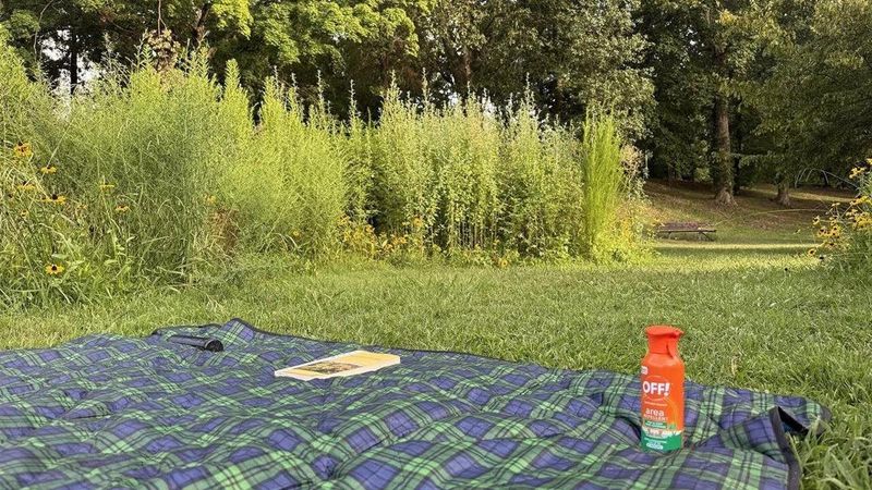 Use personal protection when mosquitoes remain active