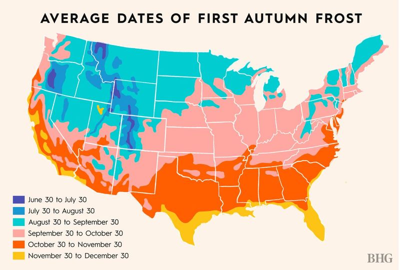 Your First Frost Date Tells The Truth