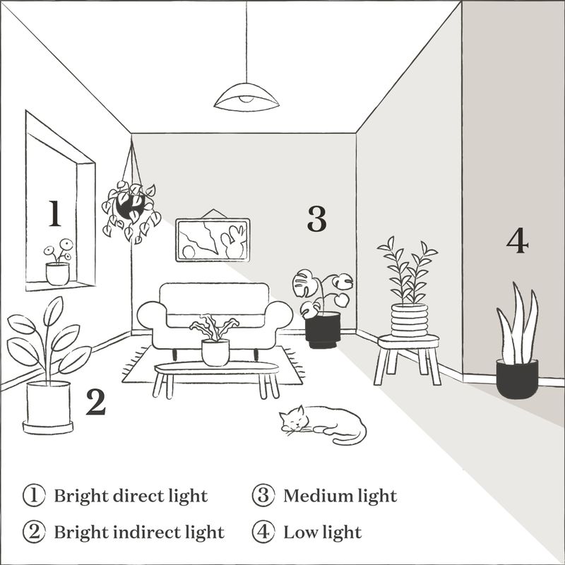 Can Your Room Supply Enough Light?