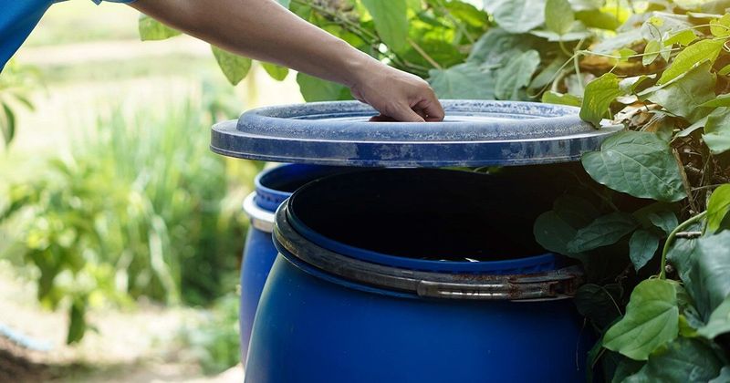 Manage Mosquitoes and Ticks Directly