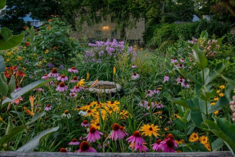 North Carolina Gardeners Are Replacing Bare, Useless Lawn With Plants That Earn Their Space