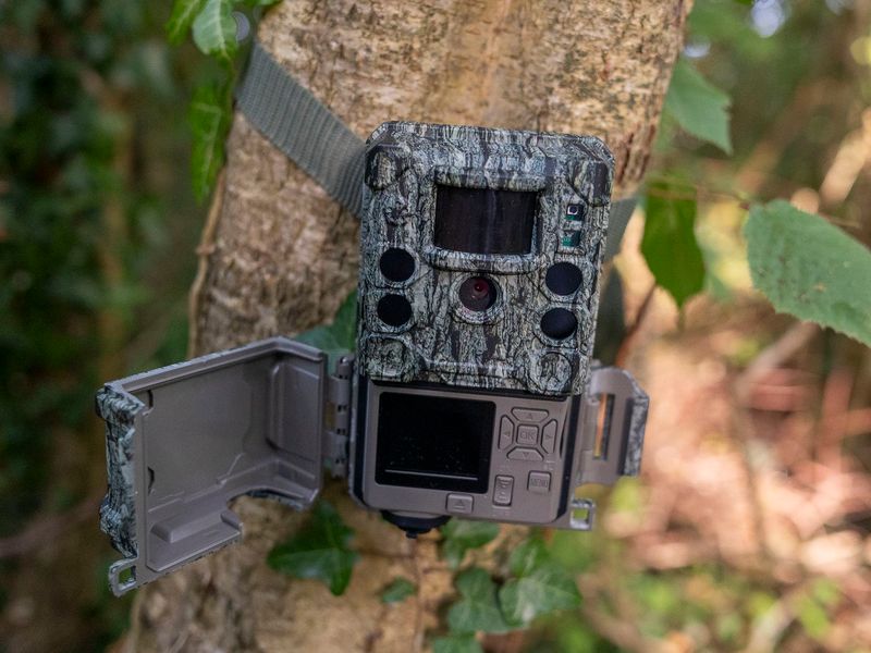 Your Camera Can Miss the Story