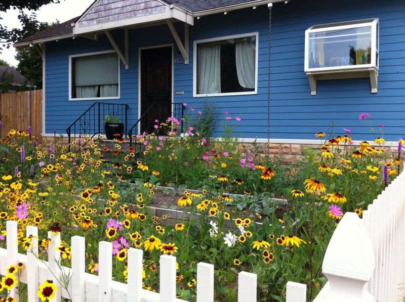 You Can Keep A Small Flowering Patch