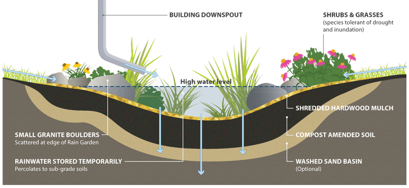 Choose A Moist Site That Still Drains